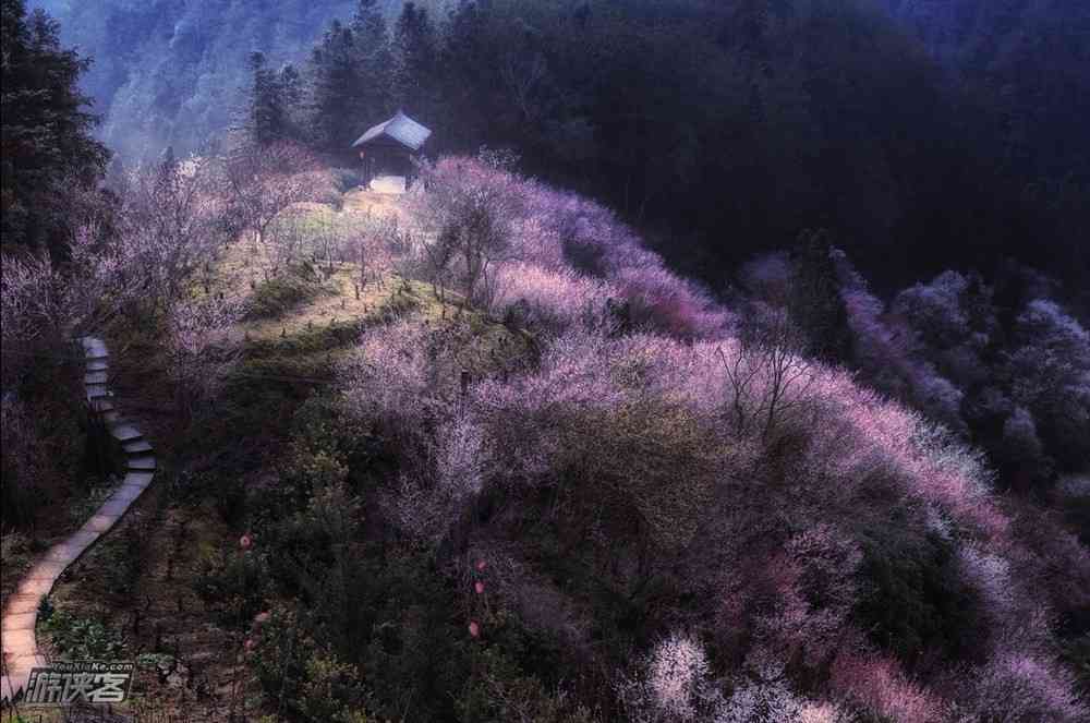 春节杭州周边游