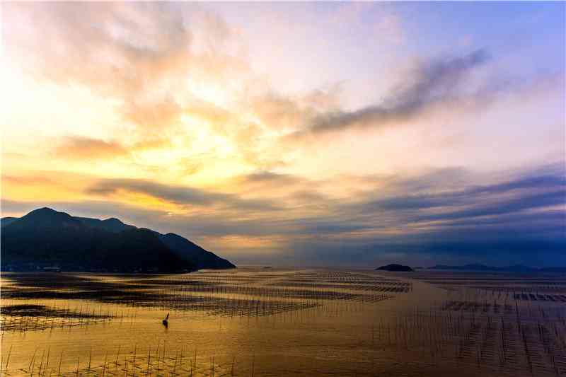 霞浦气候指南