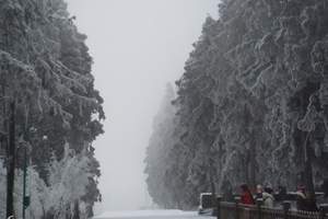 重庆旅行社 （滑雪）冰雪金佛山一日游