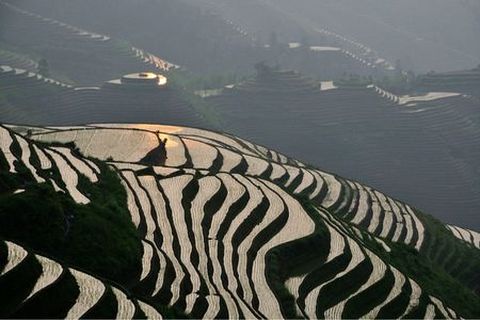 <桂林-大漓江-阳朔-龙脊4日游>阳朔住宿一晚（当地游）